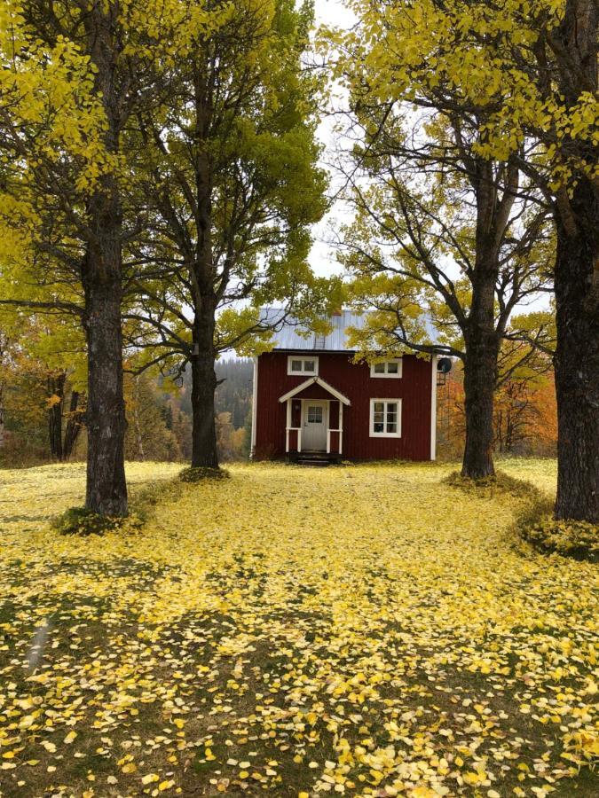 Valagardens Vaerdshus Och Camping Ab Vålådalen Екстериор снимка