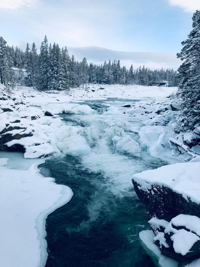 Valagardens Vaerdshus Och Camping Ab Vålådalen Екстериор снимка