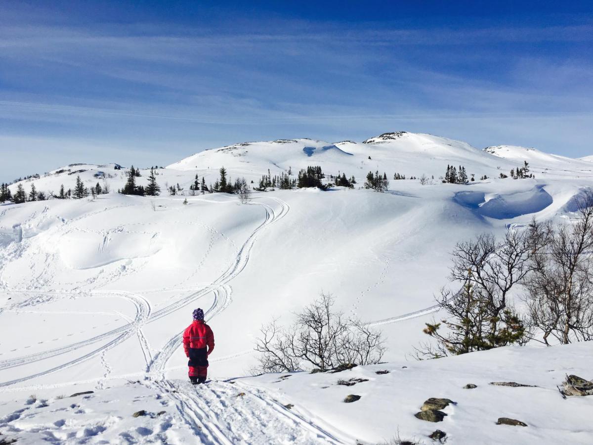 Valagardens Vaerdshus Och Camping Ab Vålådalen Екстериор снимка
